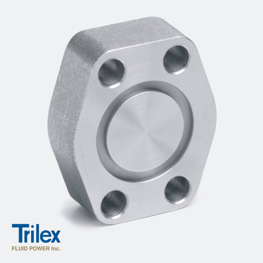 Blanking Flanges Carbon Steel