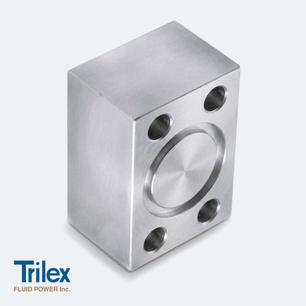 Blanking Flanges Stainless Steel