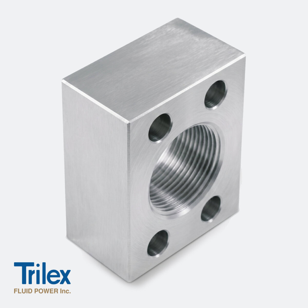 NPTF Thread Flanges Stainless Steel
